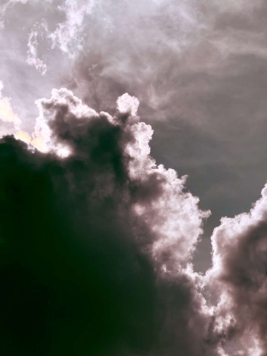 Gallery Nov 10, 2025 at 20:48 - Photo 7