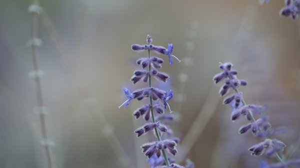Colorado Trip - Photo 12