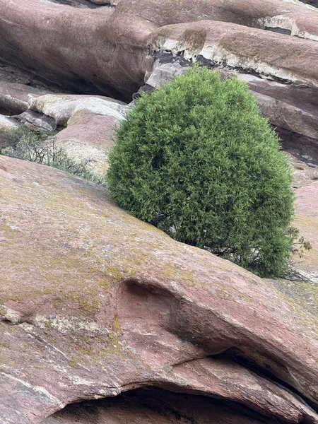 Colorado Trip - Photo 29