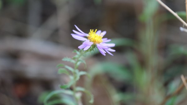 Colorado Trip - Photo 8